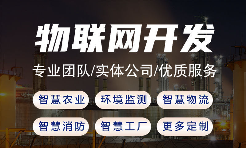 定制开发局放在线监测系统流程是怎样的？